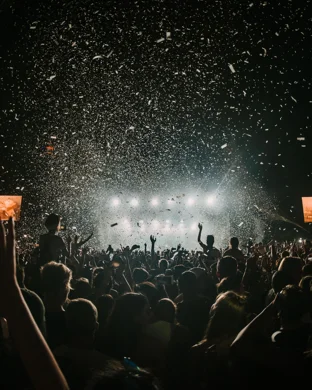 Moonlight Music Festival