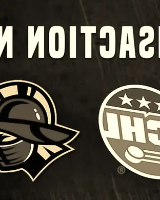 Kelly Cup Finals: Atlanta Gladiators vs. TBD - Home Game 4 (Date: TBD - If Necessary)