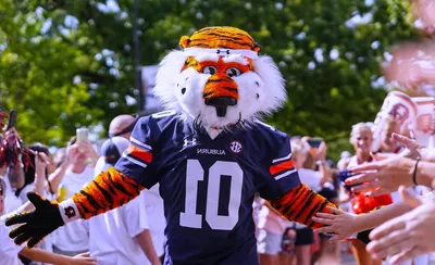 Auburn Tigers Football