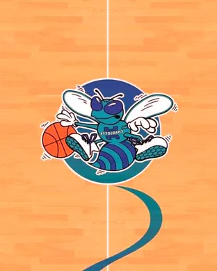 Charlotte Hornets vs. Atlanta Hawks