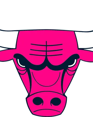 Chicago Bulls vs. Atlanta Hawks