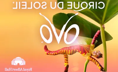 Cirque du Soleil - Ovo
