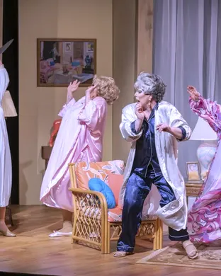 Golden Girls: The Laughs Continue Atlanta