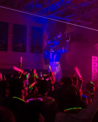 House Party Rave