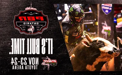 PBR - Unleash The Beast