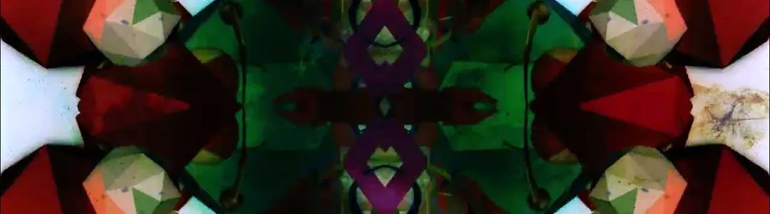 Ravenscoon