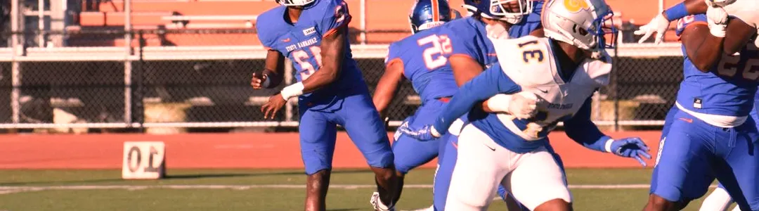 Savannah State Tigers