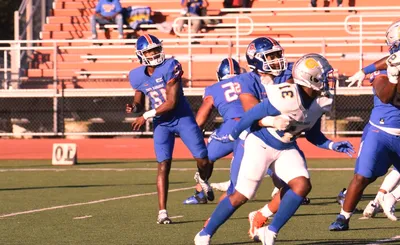 Savannah State Tigers