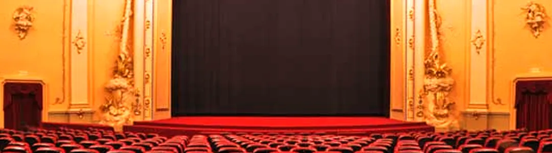 The Great Ant Sleepover