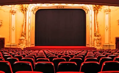 The Great Ant Sleepover