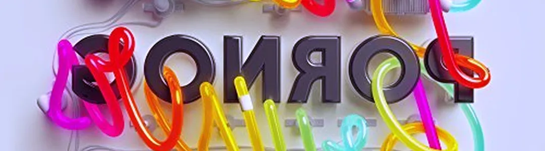 The New Pornographers