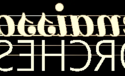 The Renaissance Orchestra