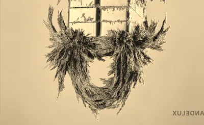 Vandelux