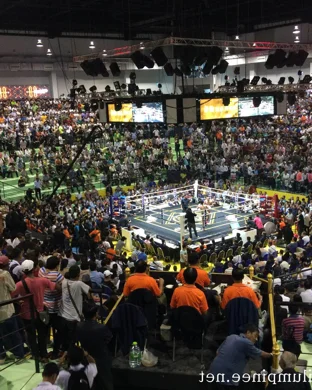 Roman Rumble: Battle at the Forum